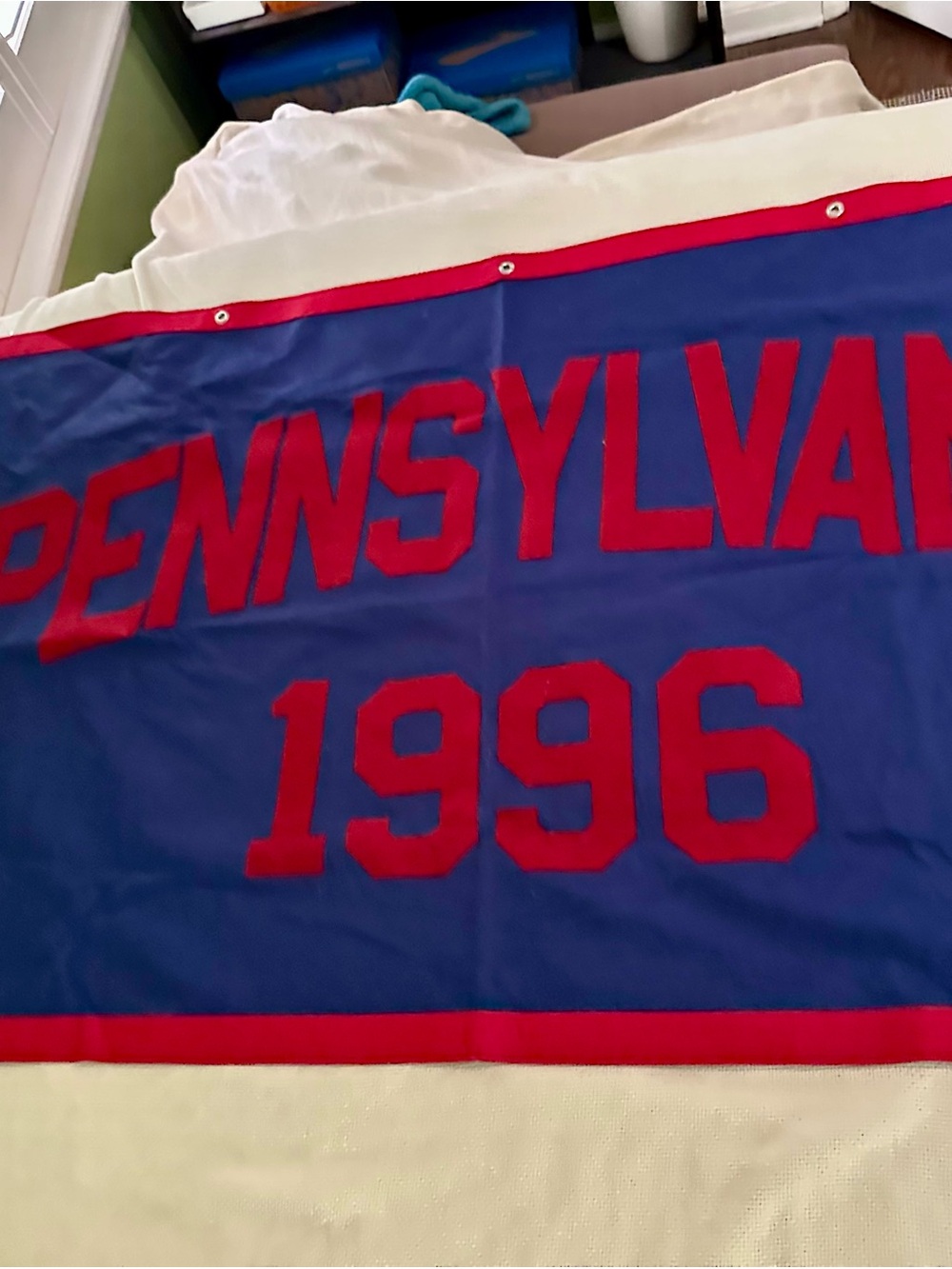 Vintage 1996 UPenn University of Pennsylvania Felt Banner Flag The Nixon Co Ivy - Picture 2 of 4
